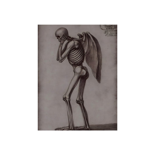 Anatomy of the Fallen Angel, art print, view 2