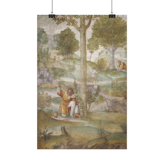 Cephalus Hiding the Jewels by Bernardino Luini fine art poster reproduction