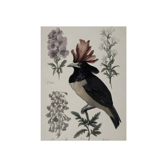 Last Song of the Manor dark botanical fine art paper print artwork