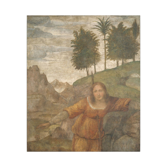 Procris Pierced by Cephalus’ Javelin by Bernardino Luini — fine art reproduction product image
