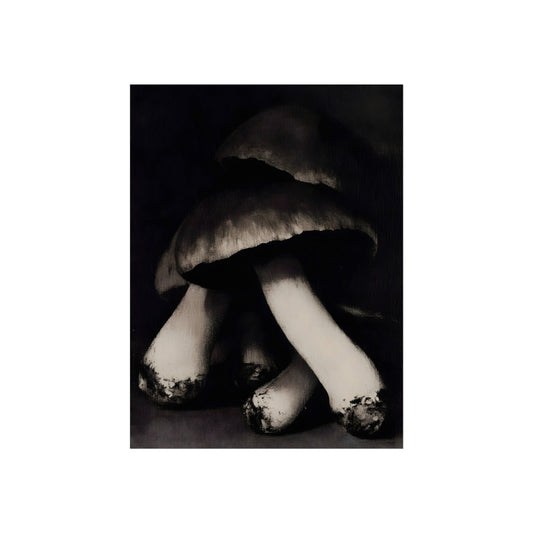 Spore Nocturne black and white mushroom fine art print shown in a wall display