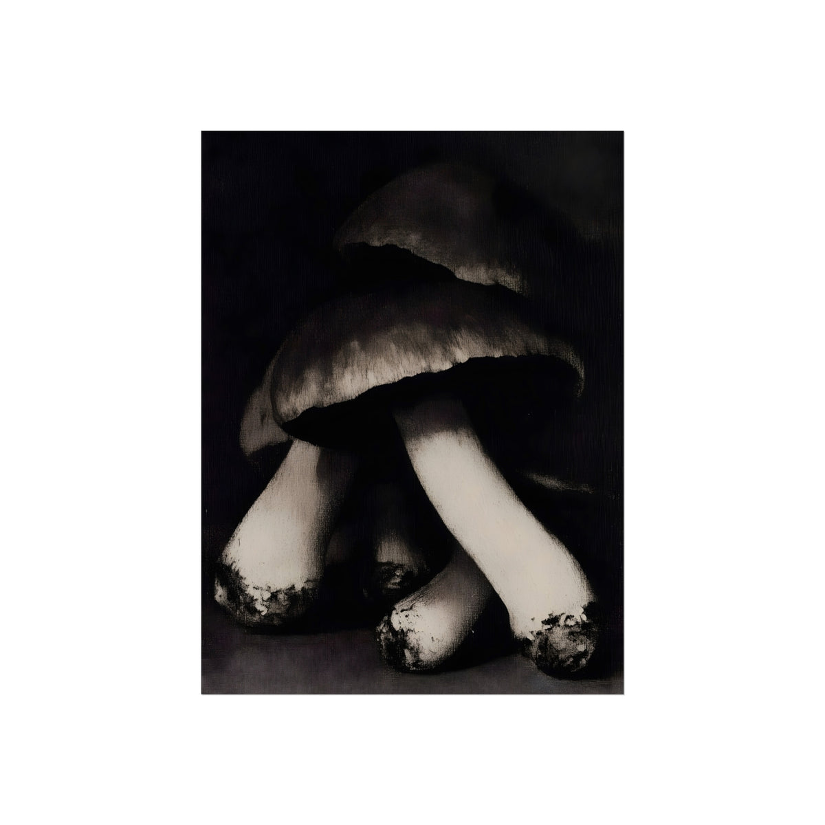 Spore Nocturne monochrome mushroom fine art print detail