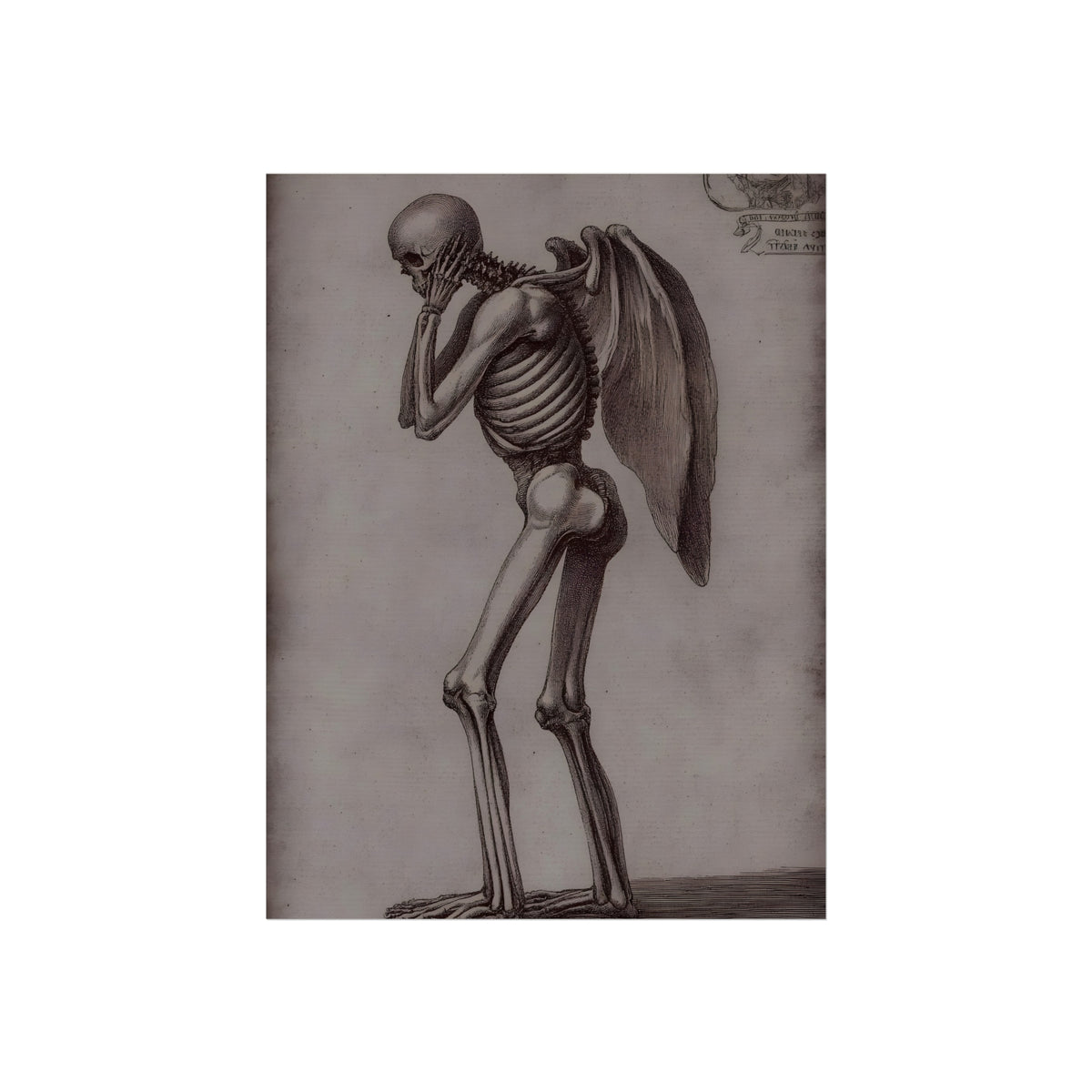 Anatomy of the Fallen Angel, art print, view 2