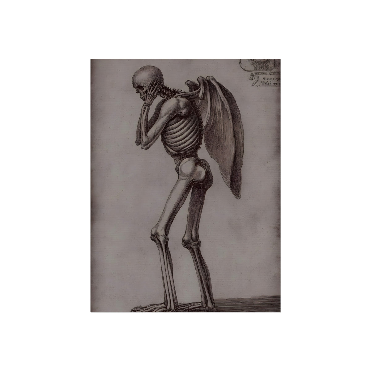 Anatomy of the Fallen Angel, art print, view 3