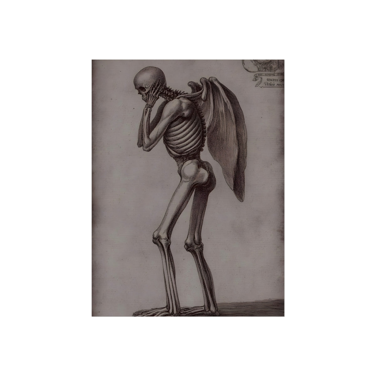 Anatomy of the Fallen Angel, art print, view 4