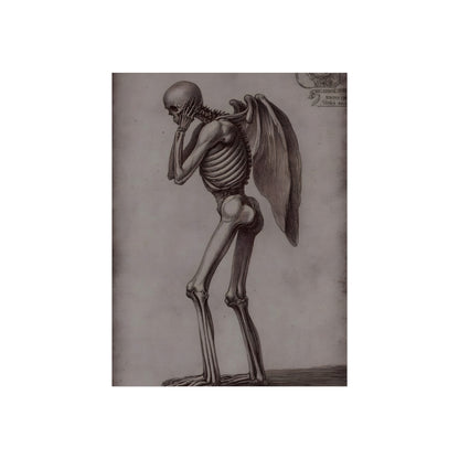Anatomy of the Fallen Angel, art print, view 4