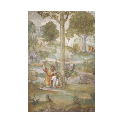 Cephalus Hiding the Jewels by Bernardino Luini stretched canvas reproduction