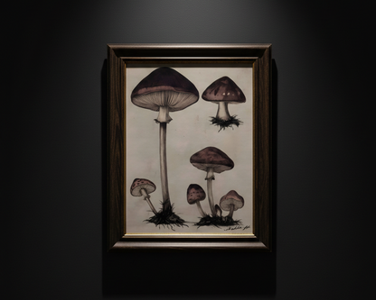 A botanical art print featuring detailed illustrations of various mushroom species, including a large central mushroom, a smaller one to the right, and several below, rendered in dark brown and muted red tones on a warm beige background.