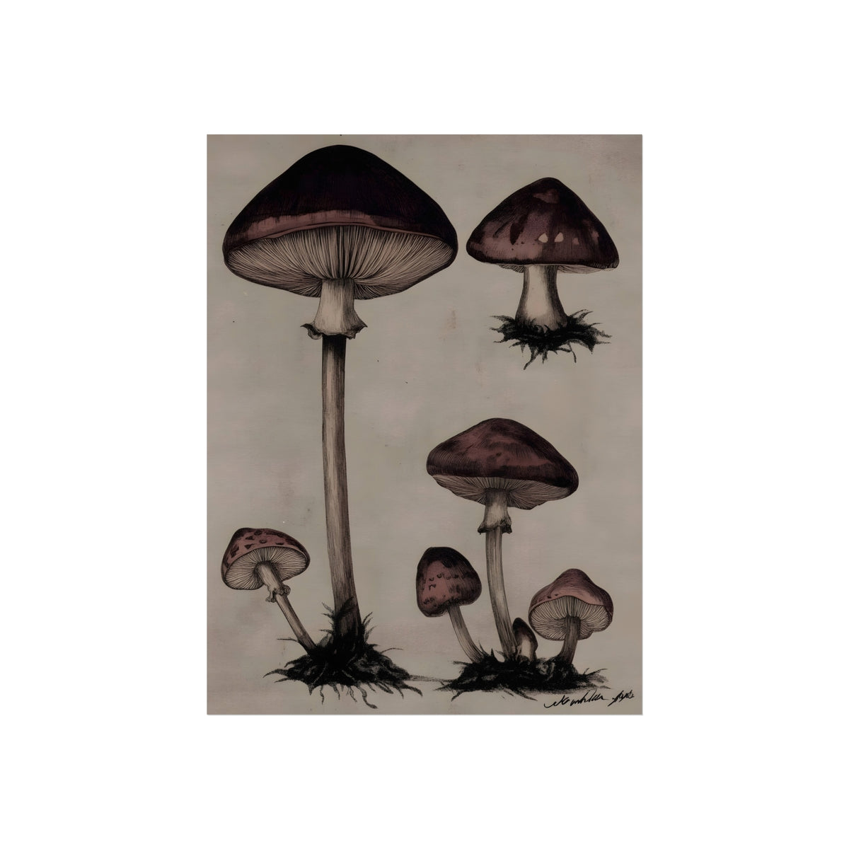 Field Notes from the Forest Floor, art print, view 2