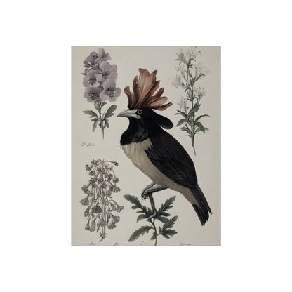 Last Song of the Manor fine art paper print wall display