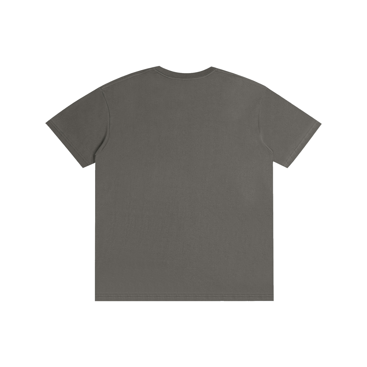 Pure Cotton Unisex T-Shirt in charcoal gray, alternate angle