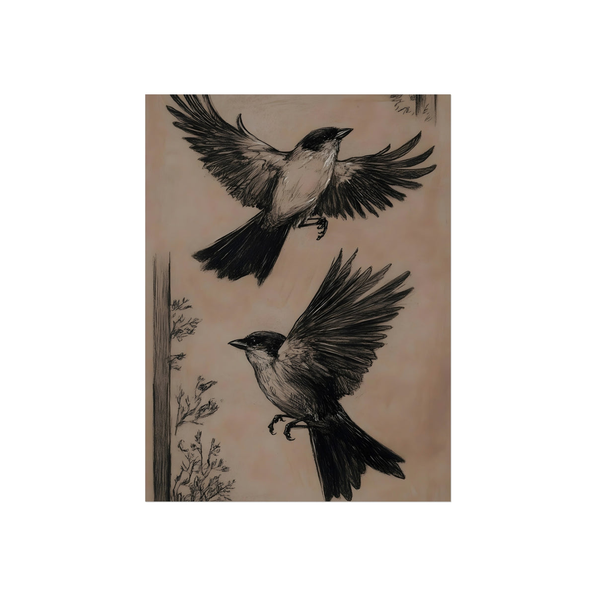 Studies in Flight vintage bird sketch fine art poster
