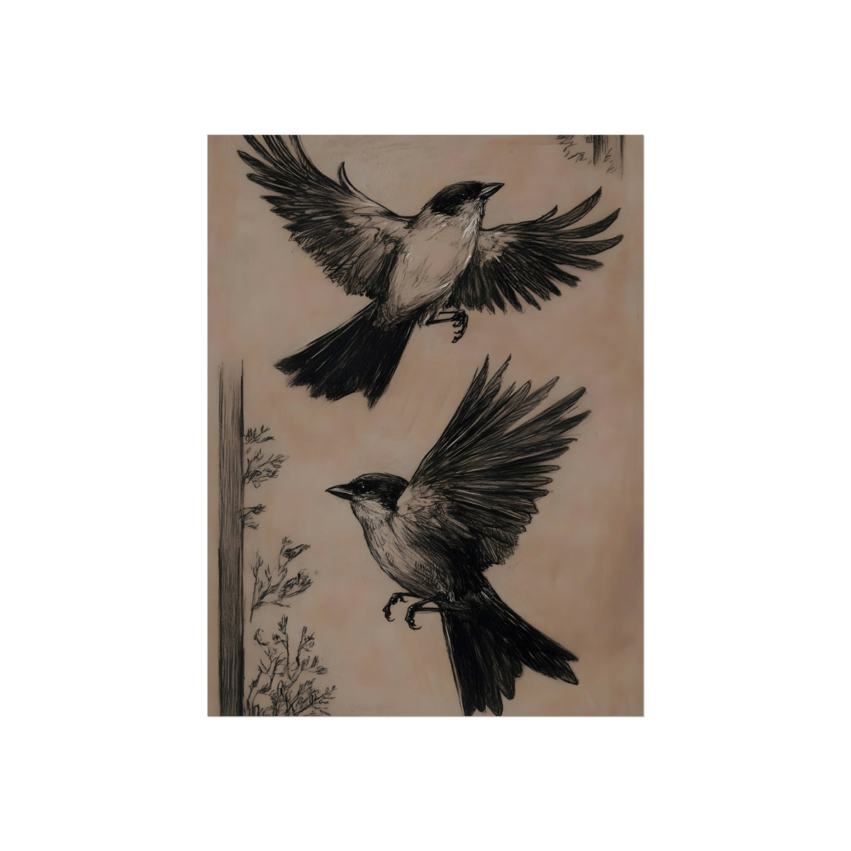 Studies in Flight vintage bird sketch fine art poster