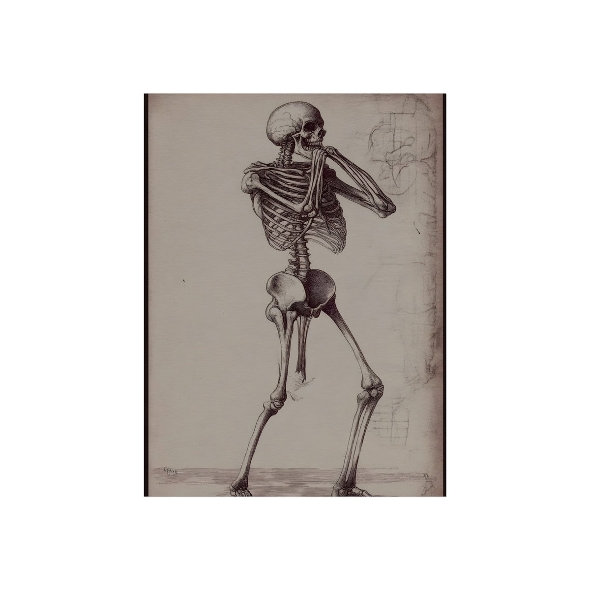 Study of Motion and Bone, art print, view 3