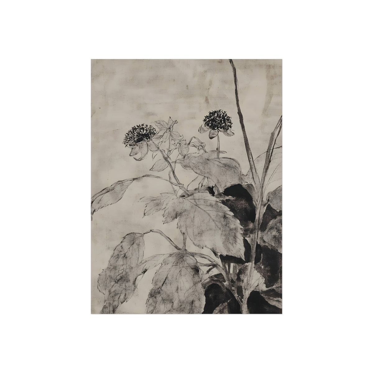 Sunflowers in Ink, art print, view 2