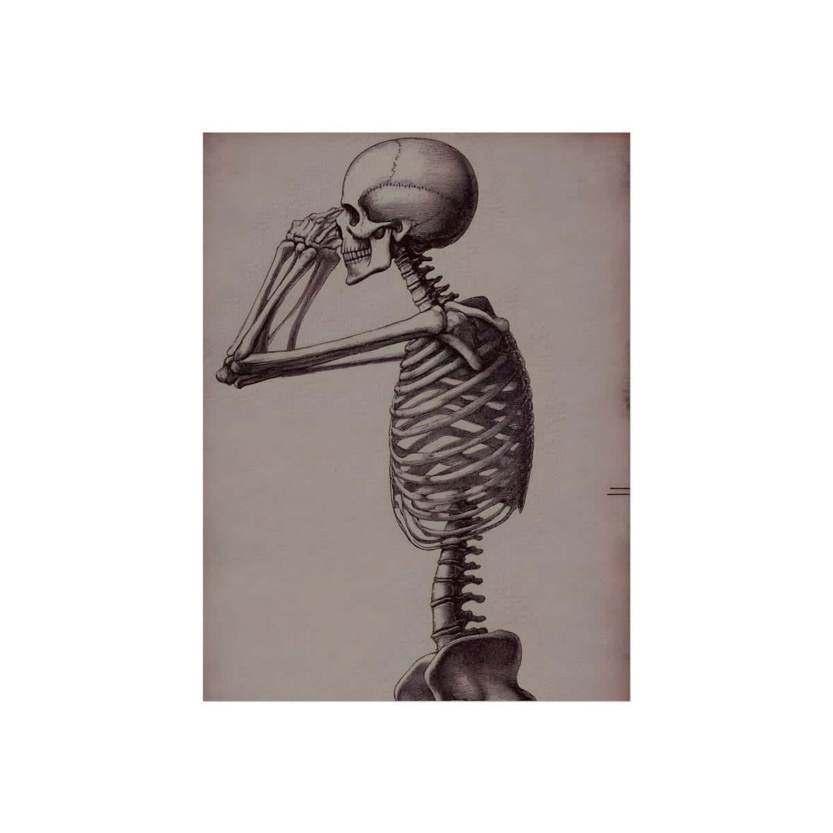 The Anatomist's Profile, art print, view 2