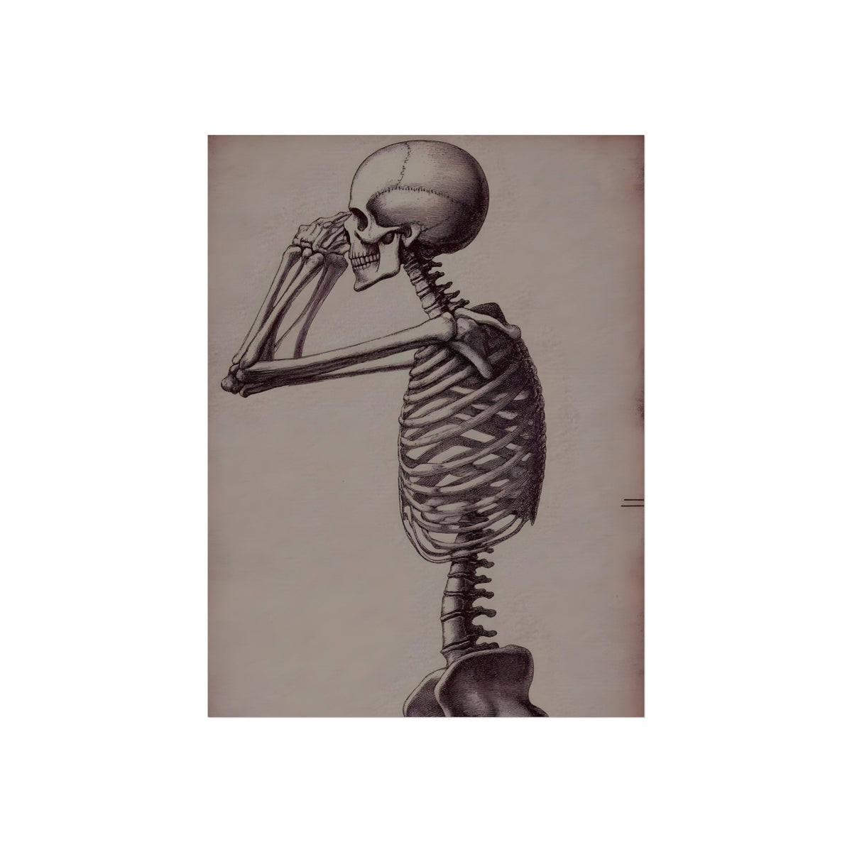 The Anatomist's Profile, art print, view 3