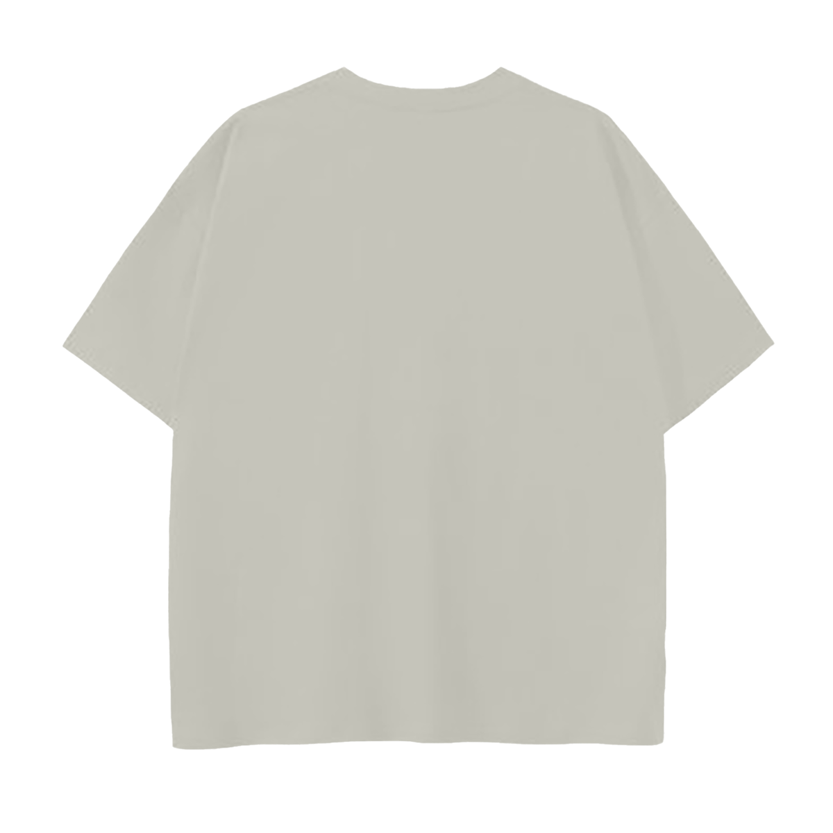 Unisex 250 GSM Drop Shoulder Cotton T-Shirt in silver birch, alternate angle