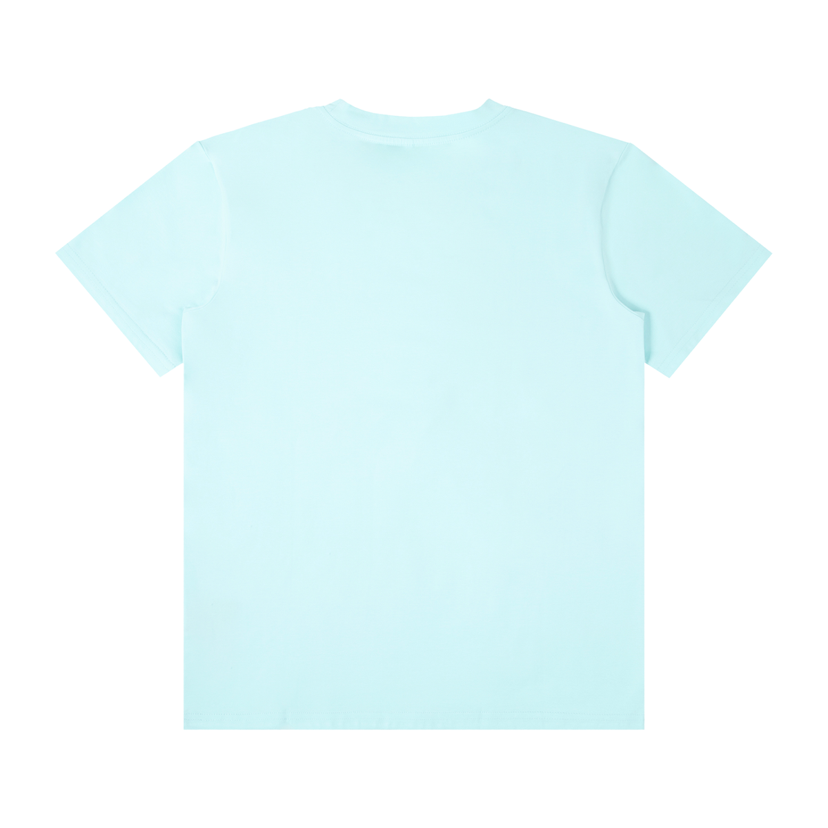 Unisex Classic Crew Neck Cotton T-Shirt in ice water, alternate angle