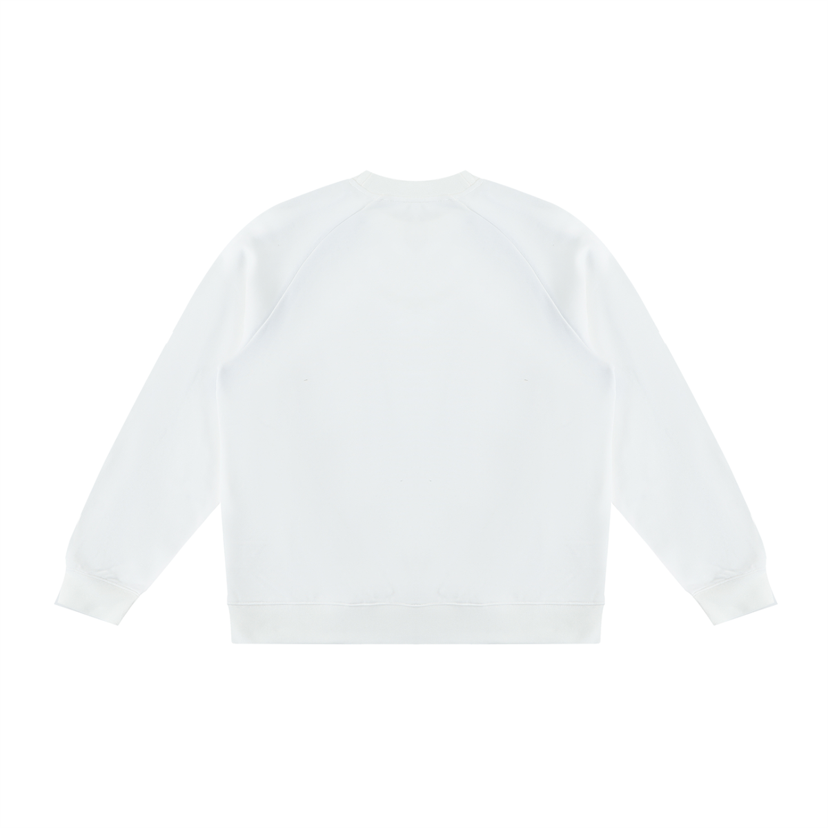Unisex Color Block Crewneck Sweatshirt in white with sky blue, alternate angle