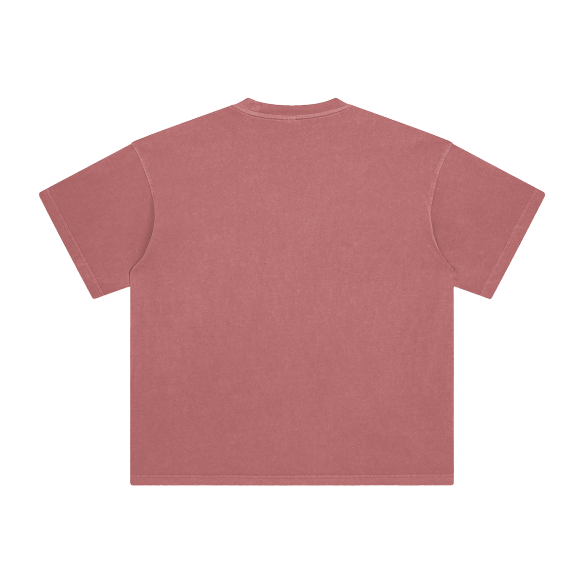 Unisex Enzyme Washed T-Shirt in brick red, alternate angle