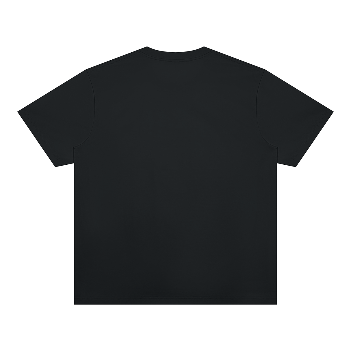 Unisex Heavyweight Sorona T-Shirt in black, alternate angle
