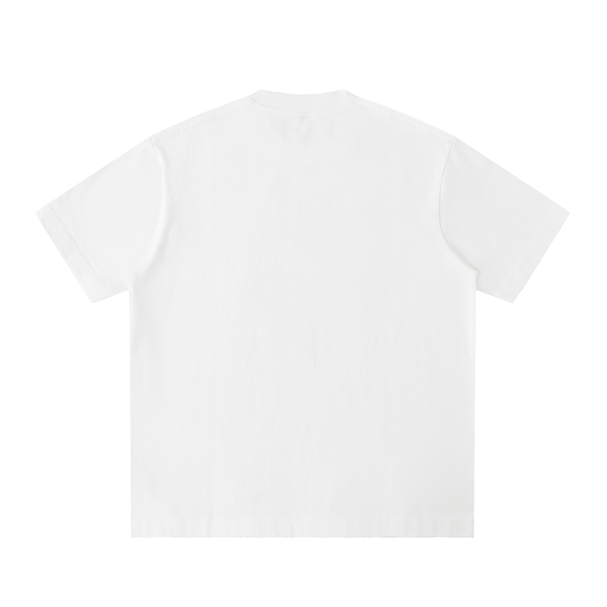 Unisex Heavyweight Vintage Washed Frayed T-Shirt in white, alternate angle