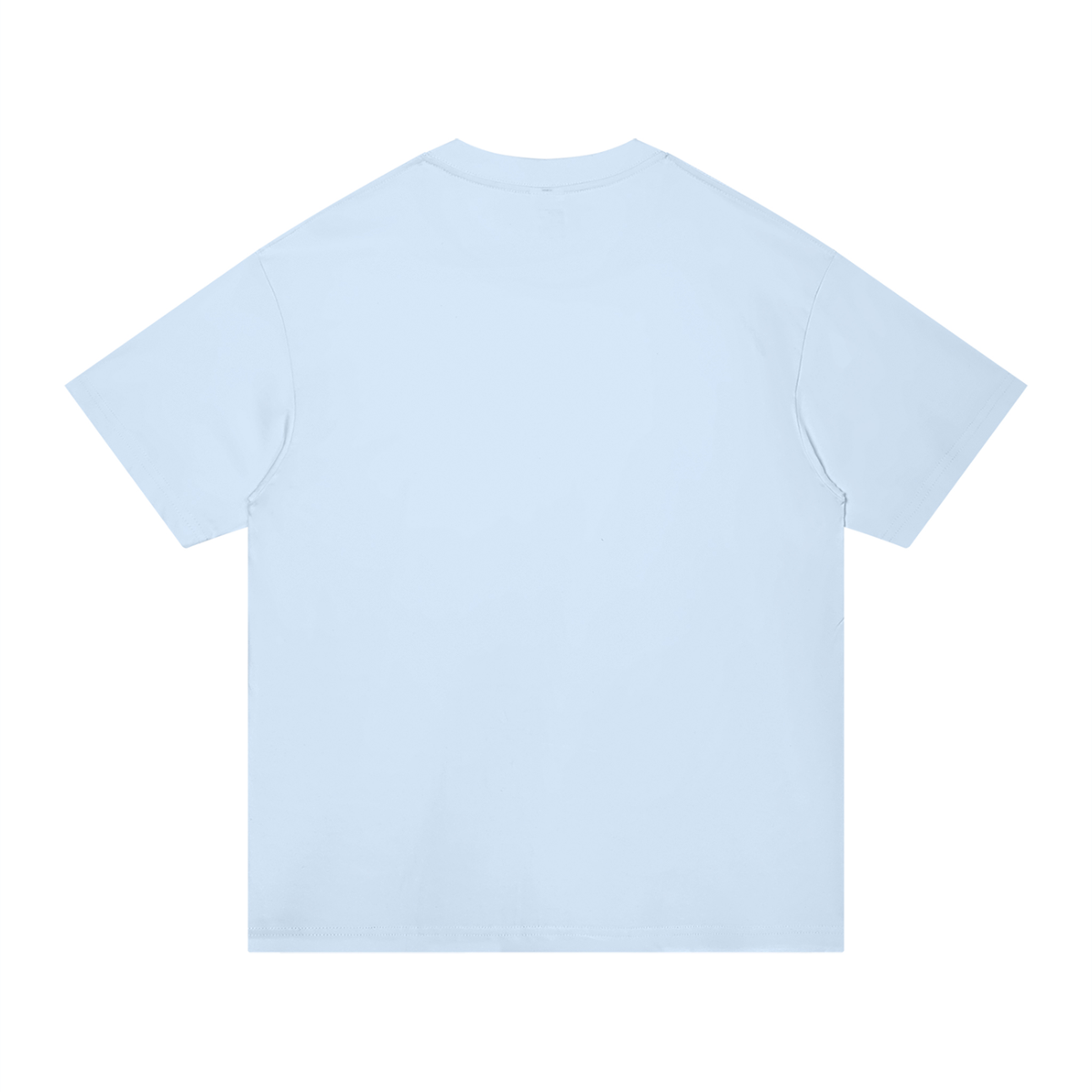 Unisex Regular Fit Cotton T-Shirt in light blue, alternate angle