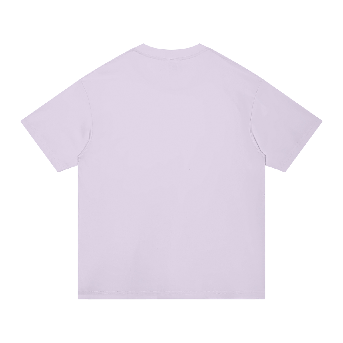 Unisex Regular Fit Cotton T-Shirt in mint green, alternate angle