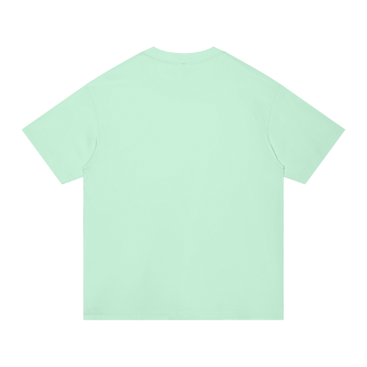 Unisex Regular Fit Cotton T-Shirt in mint green, alternate angle