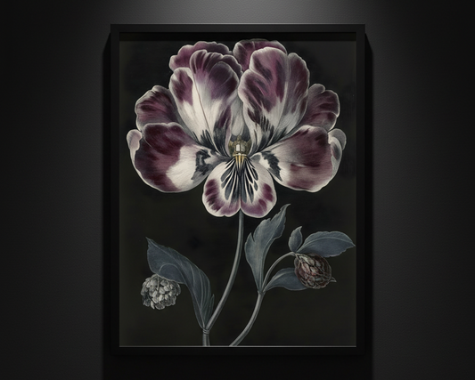 Violet Bloom in Darkness, art print