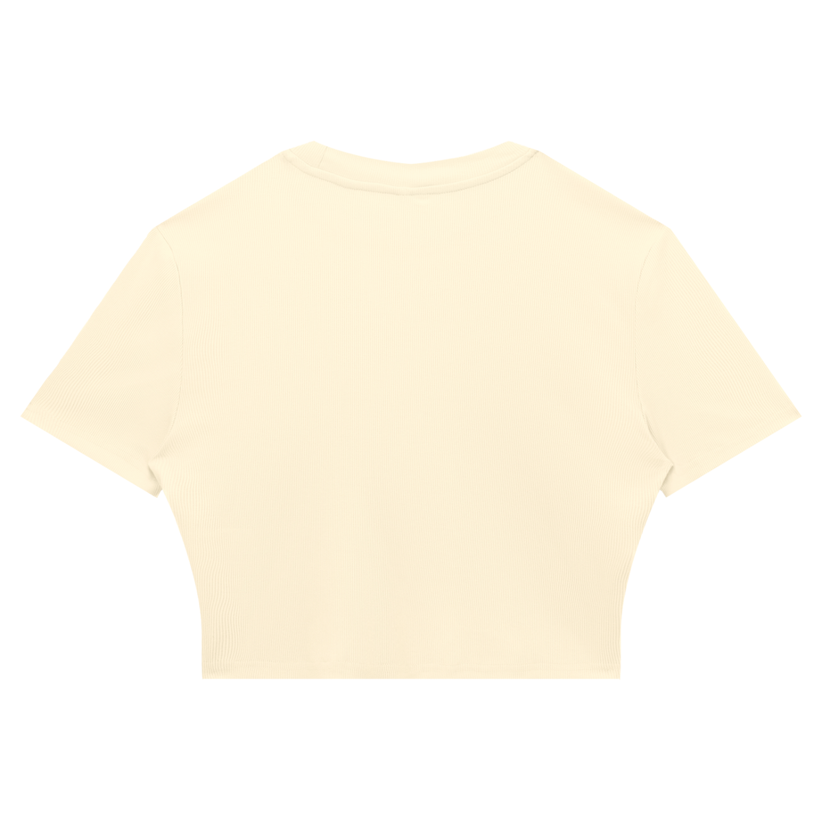 Women's Slim Ribbed Crop T-Shirt in apricot, alternate angle