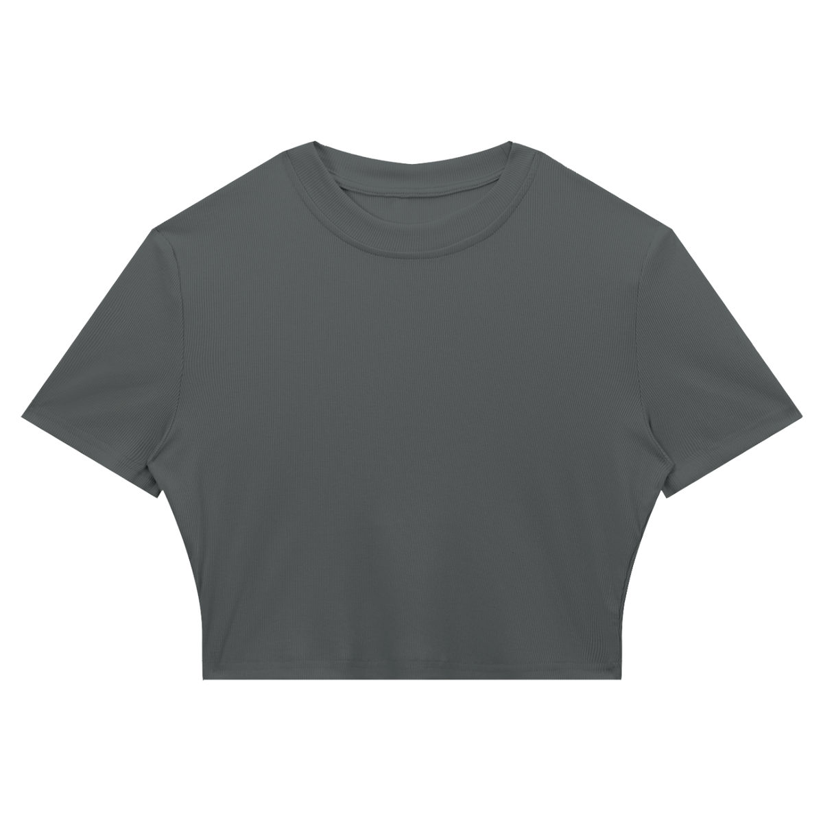 Women's Slim Ribbed Crop T-Shirt in gray