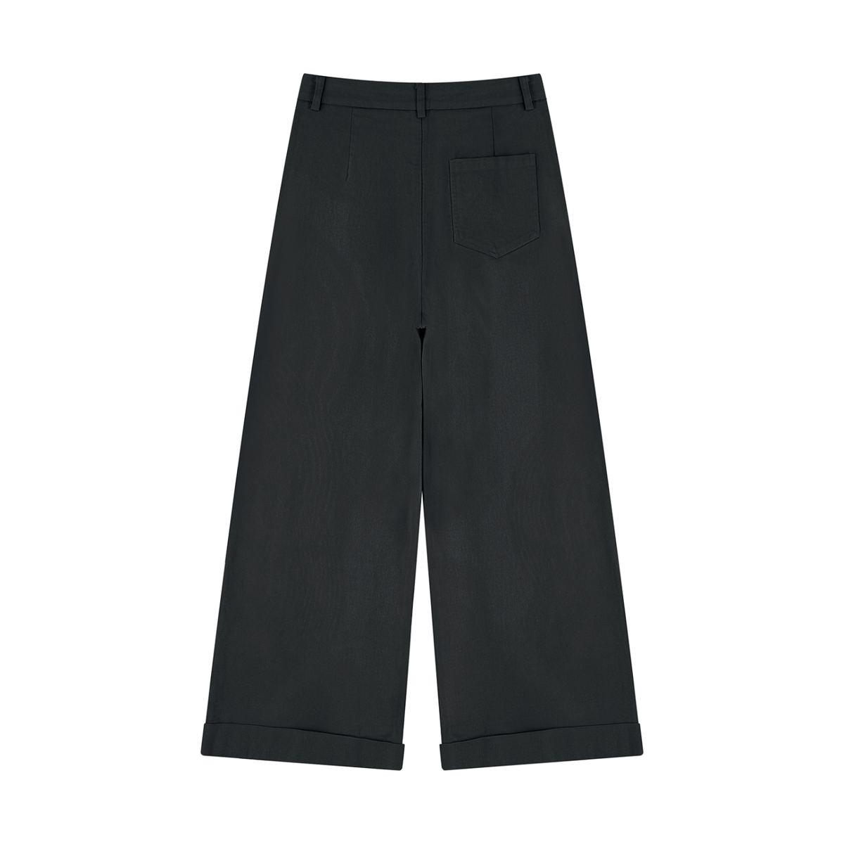 Women's Tencel Wide Leg Pants in black, alternate angle